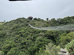 奥里比峡谷自然保护区 2