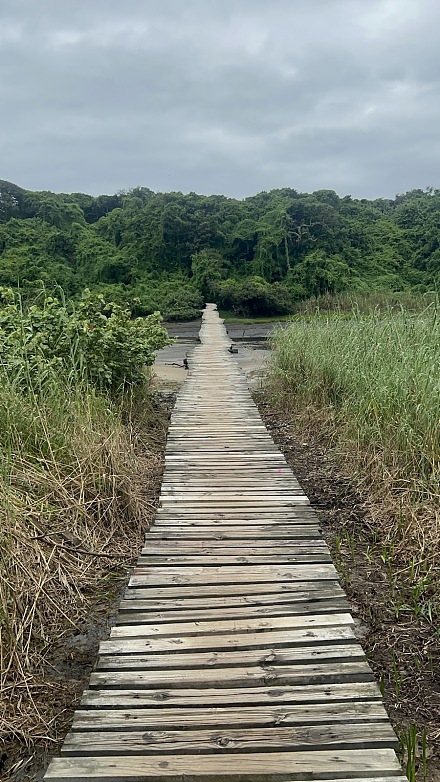 乌姆兰加潟湖自然保护区