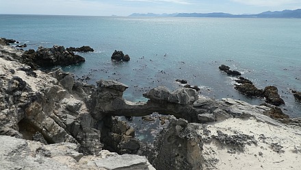 沃克湾自然保护区