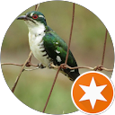 attractions-reviews-avatar