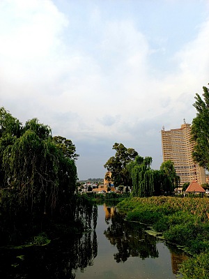 国王公园玫瑰园 2