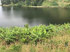 穆坦达湖 5