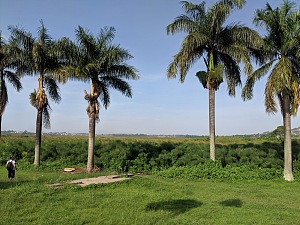 卢滕贝湾湿地 5