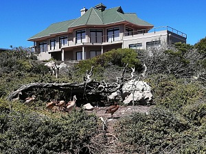 贝蒂湾 3