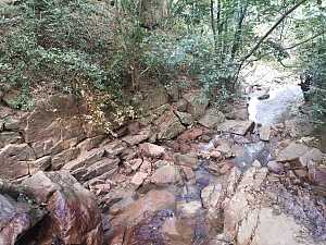 棕榈苇自然保护区 4