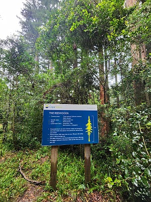 格鲁特瓦德斯博斯自然保护区 5