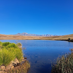 高地荒原自然保护区 2