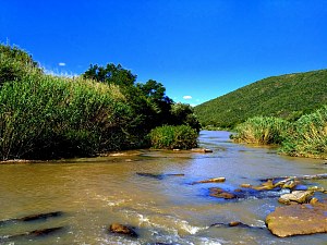 大鱼河自然保护区 2