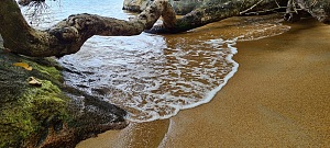 诺西曼加贝岛 3
