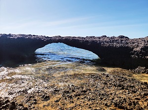 诺西法尼希岛 3