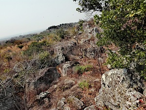 姆韦拉岩画 4