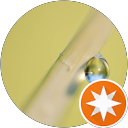 attractions-reviews-avatar