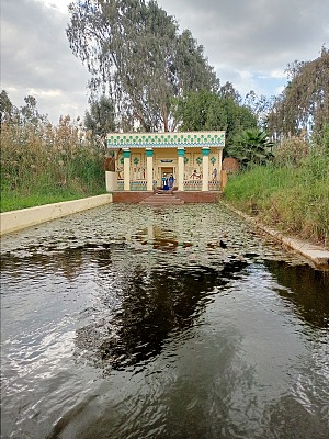 法老村 4