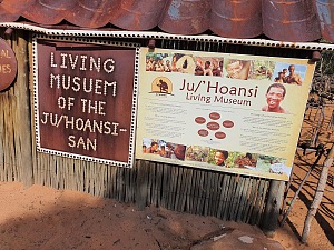 Living Museum of the Ju/'Hoansi 2