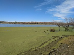 冯巴赫水坝 4