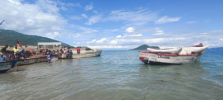 曼戈奇