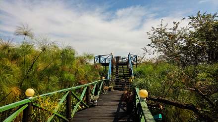 敦加湿地沼泽木板步道