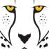 Africa Calling Safaris