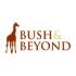 Bush & Beyond