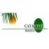 Catalyst Travels