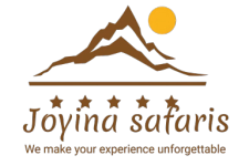 JOYINA SAFARIS AFRICA