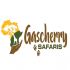 Gascherry Safaris