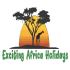 Exciting Africa Holidays