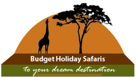 Budget Holiday Safaris