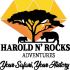 Harold n Rocks Adventure