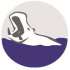 Hippo Tours & Safaris
