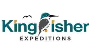 Kingfisher Expeditions