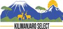 地接社logo