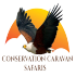 Conservation Caravan Safaris
