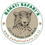 Bahati Safaris