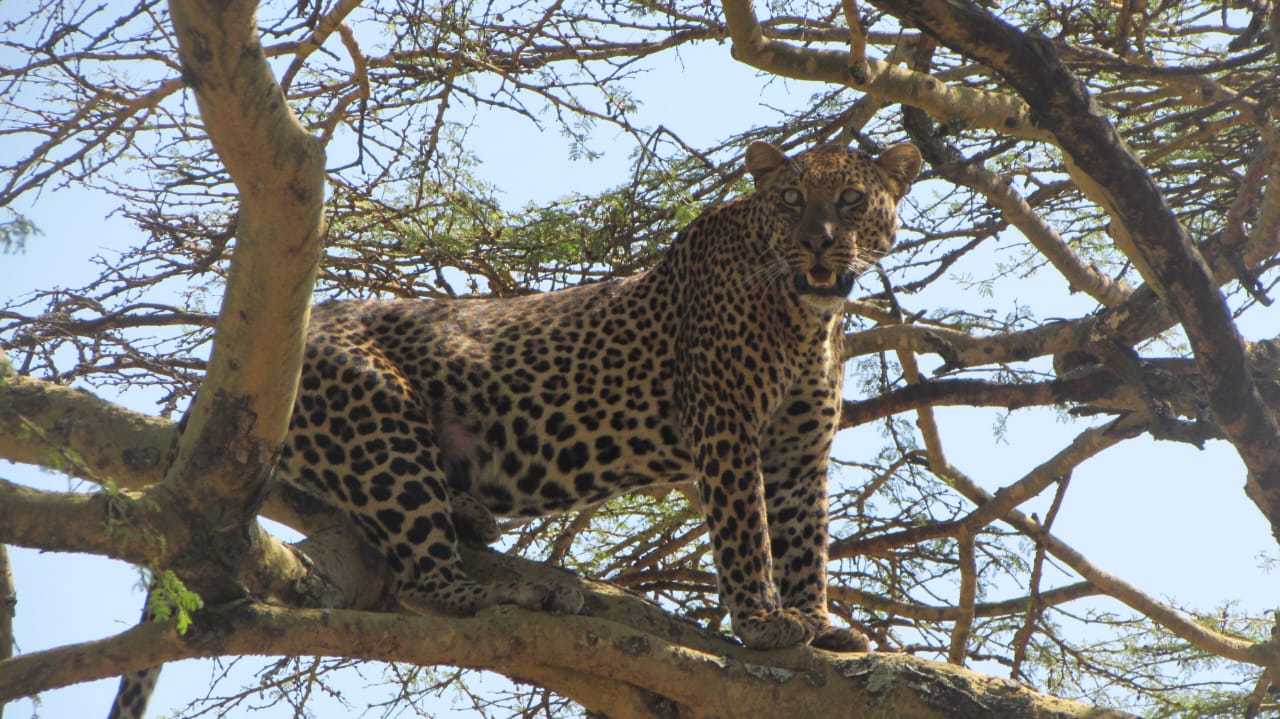 3 Days Masai Mara