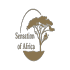 Sensation of Safaris