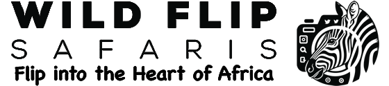 Wildflip Company