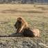 Tupo Africa Safaris