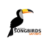 Tanzania Songbirds Safaris