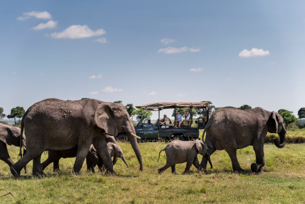 7-Day Kenya Classic Safari Circuit