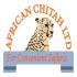 African Chitah