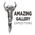 Amazing Gallery Expeditions