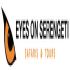 Eyes on Serengeti