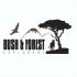 Bush and Forest Explorers