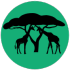 Relish of Africa
