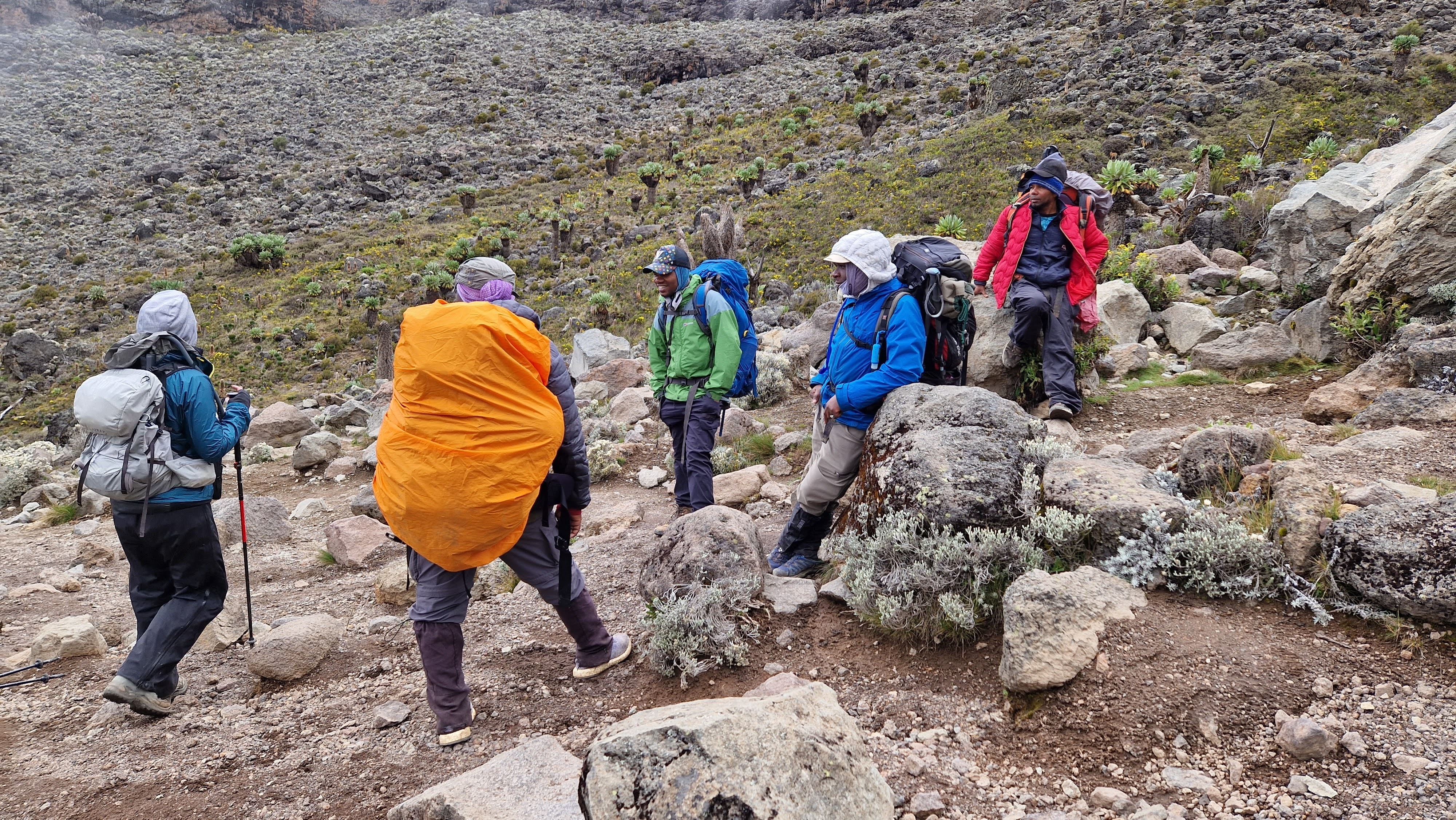 9 Days Kilimanjaro Climb – Machame Route (7-Day Trek + 2 Nights Hotel Stay)