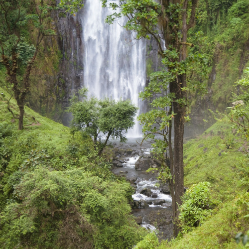Materuni Waterfall & Coffee Farm Tour