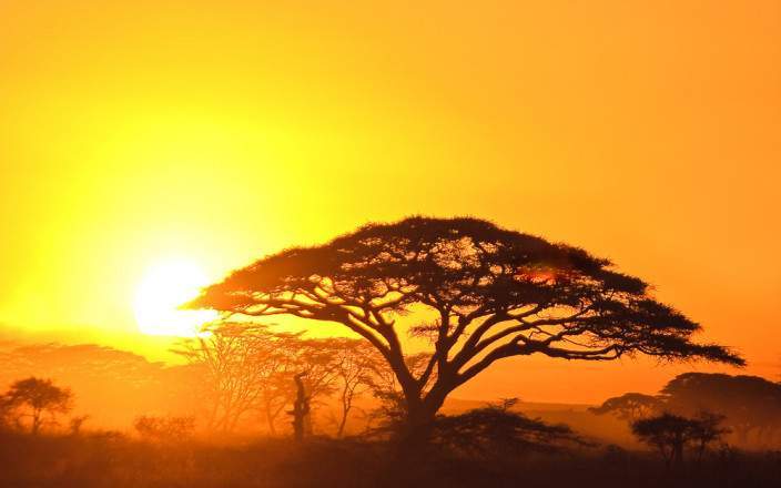 3-Day Classic Camping Safari to Tarangire, Lake manyara & Ngorongoro Crater