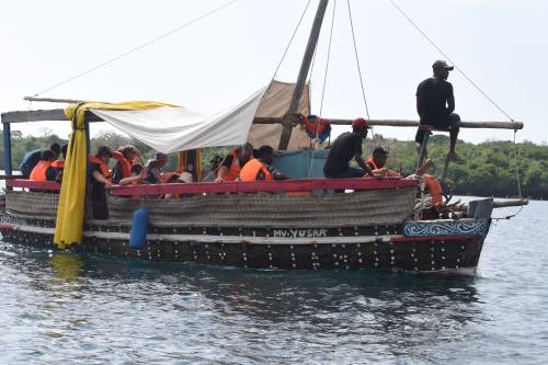 Wasini Dolphin Tour
