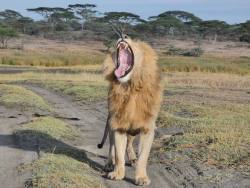 Day 4 图片 2